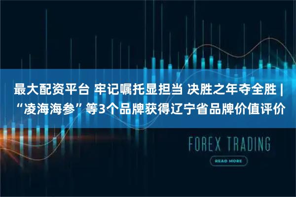 最大配资平台 牢记嘱托显担当 决胜之年夺全胜 | “凌海海参”等3个品牌获得辽宁省品牌价值评价